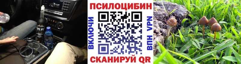 Псилоцибиновые грибы Cubensis  Изобильный 